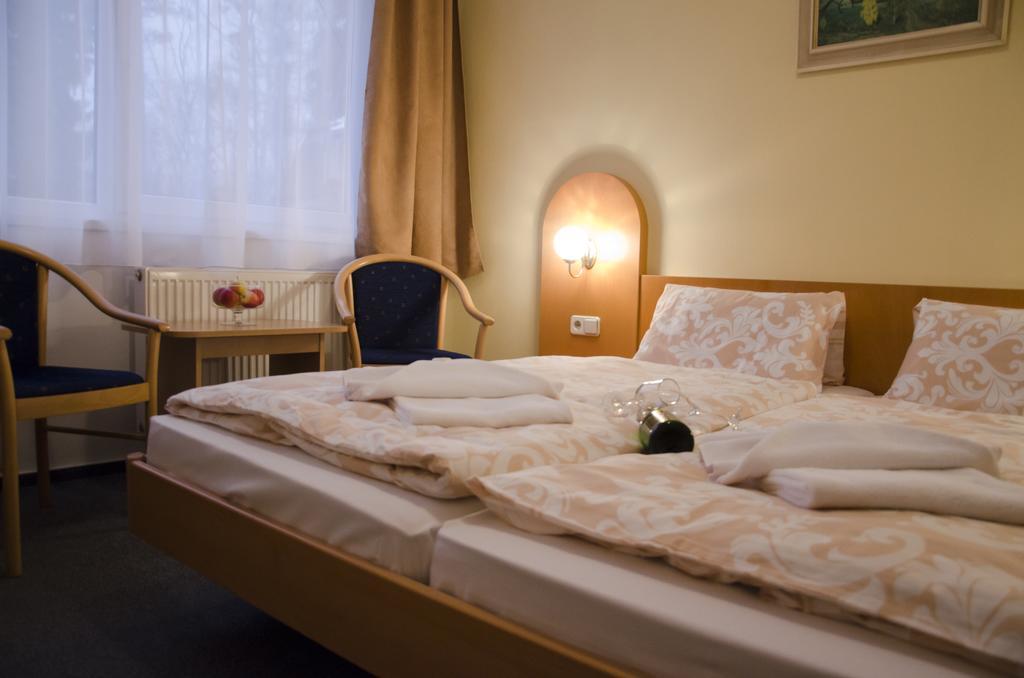 Hotel Zatisi Františkovy Lázně Стая снимка